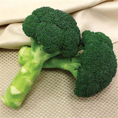 Green magic broccoli seedss